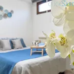 Large Mediterranea In The Heart Of Coral Shore With Swimming Pool Large Garden With Palm Trees *