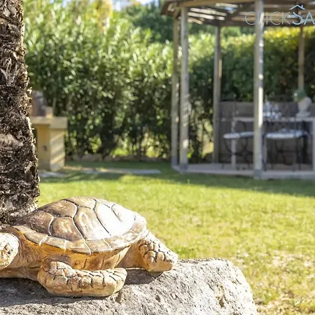 Large Mediterranea In The Heart Of Coral Shore With Swimming Pool Large Garden With Palm Trees Villa *