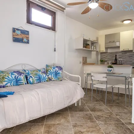 Villa Large Mediterranea In The Heart Of Coral Shore With Swimming Pool Large Garden With Palm Trees *