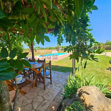 Large Mediterranea In The Heart Of Coral Shore With Swimming Pool Large Garden With Palm Trees 别墅 *