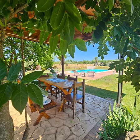 Large Mediterranea In The Heart Of Coral Shore With Swimming Pool Large Garden With Palm Trees 别墅 阿尔盖罗